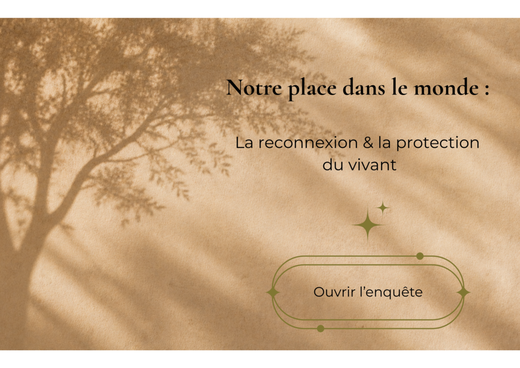 l'ombre d'un arbre sur un mur